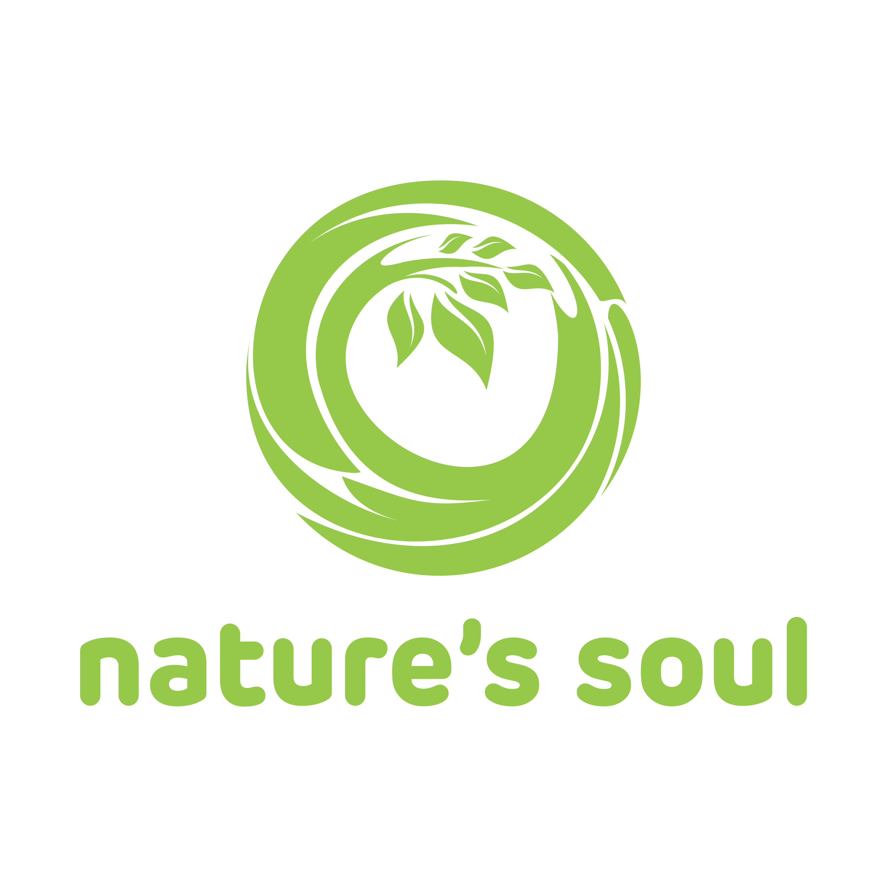 Nature's Soul Shop